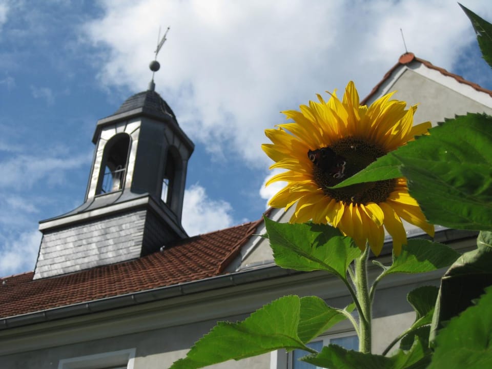 Grüne Landruhe - Zimmer im Schullandheim Grüngräbchen Hostel in Saxony