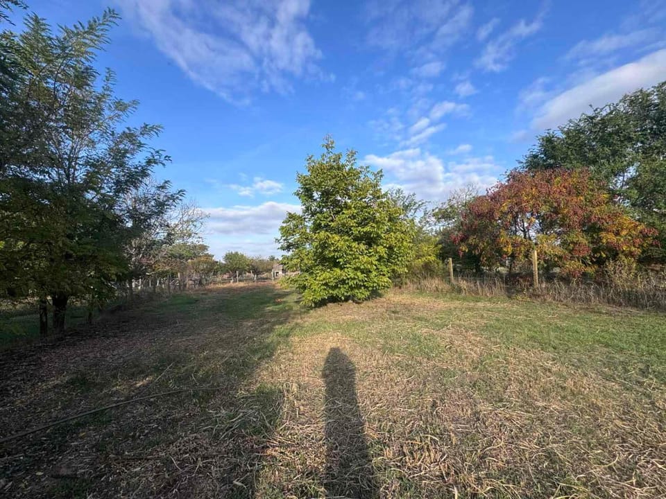 Natural landscape, Garden