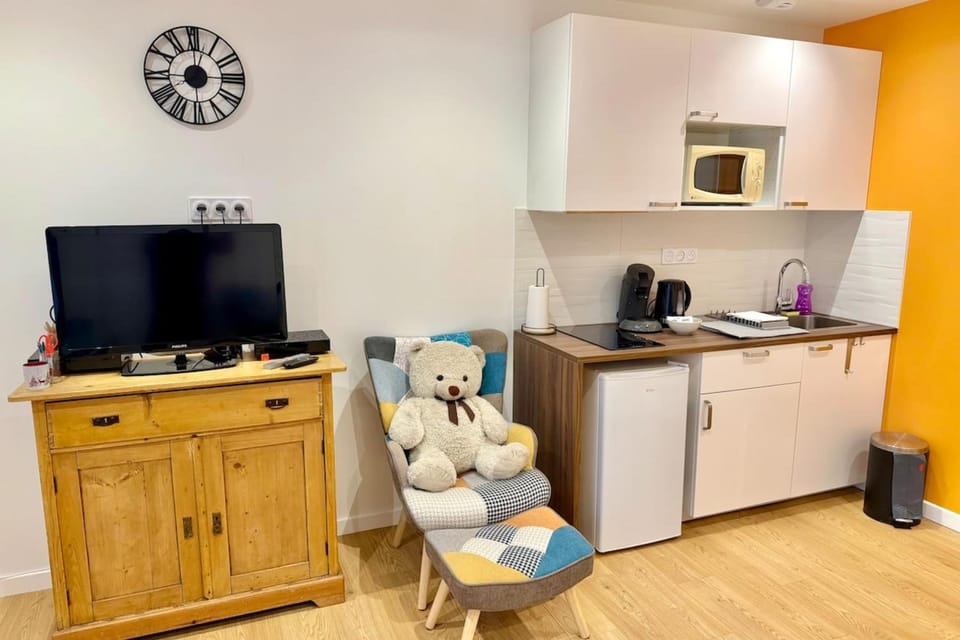La Tanière - Orléans centre Apartment in Orléans
