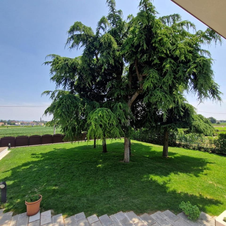 Spring, Day, Natural landscape, Garden, Garden view