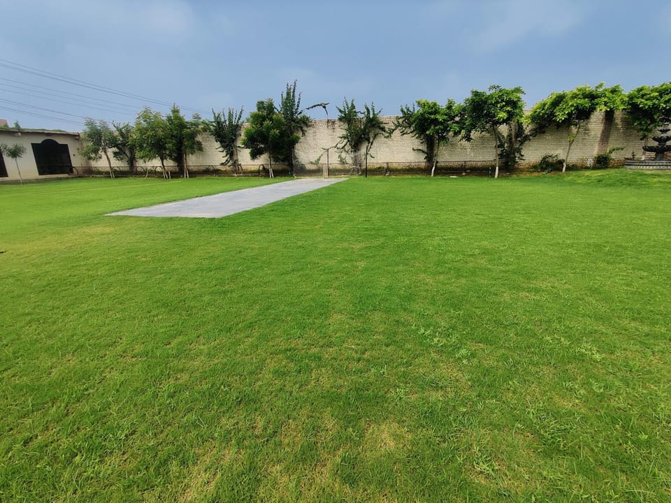 Natural landscape, Garden, Garden view