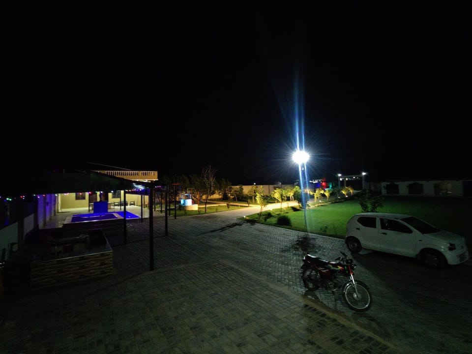 Night