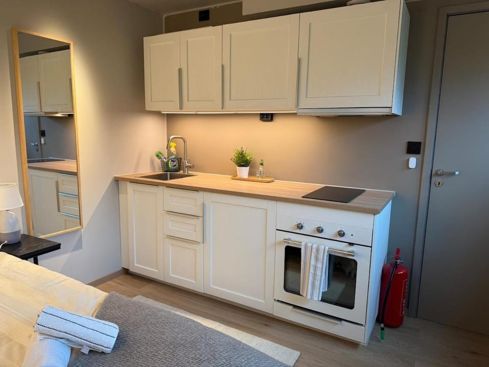 Kitchen or kitchenette, stove
