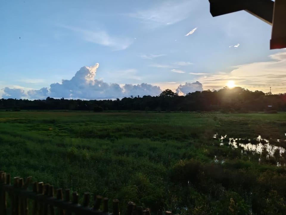 Palm & Paddy Villa Villa in Southern Province