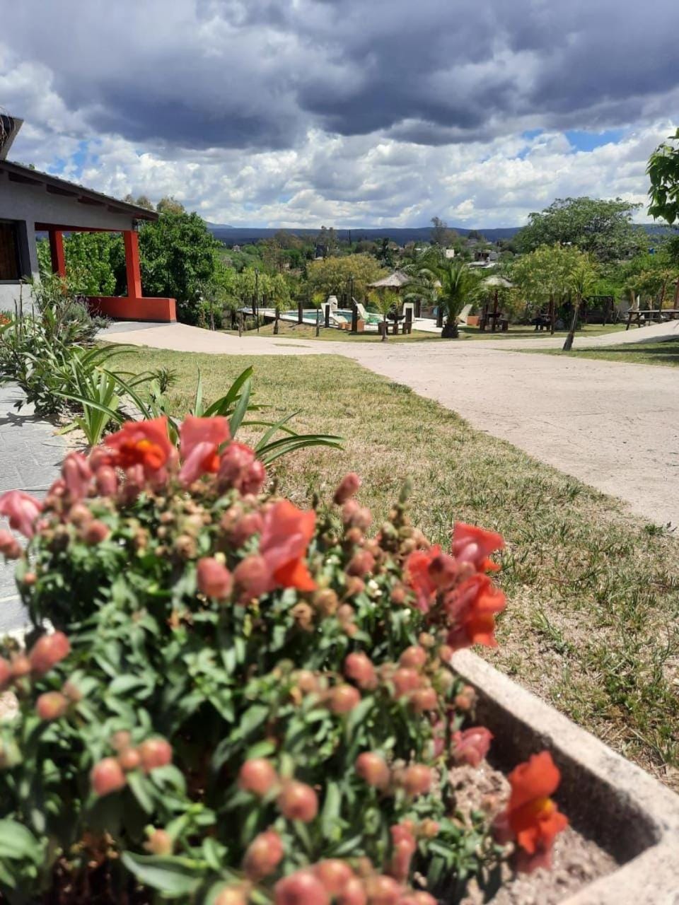 Natural landscape, Garden view