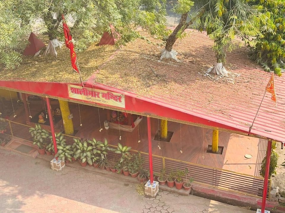 The Dipshi Stays ! Your Stay Your Story ! Apartment in India