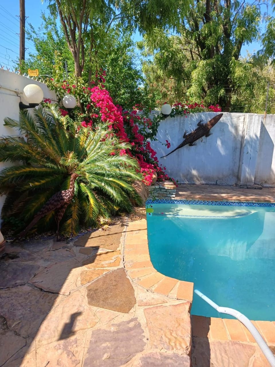 Natural landscape, Garden, Garden view, Pool view, Swimming pool, sunbed