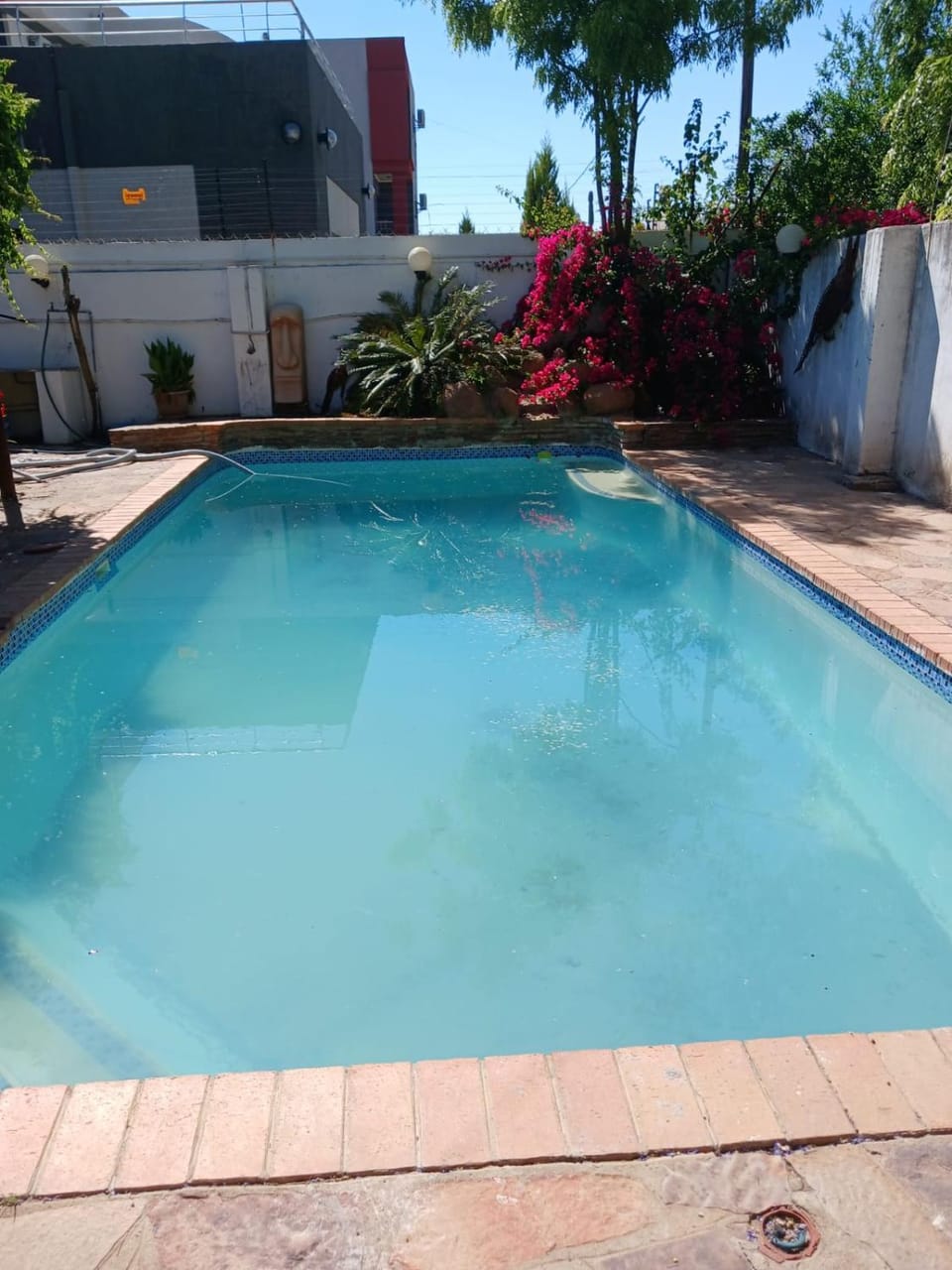 Swimming pool, Swimming pool