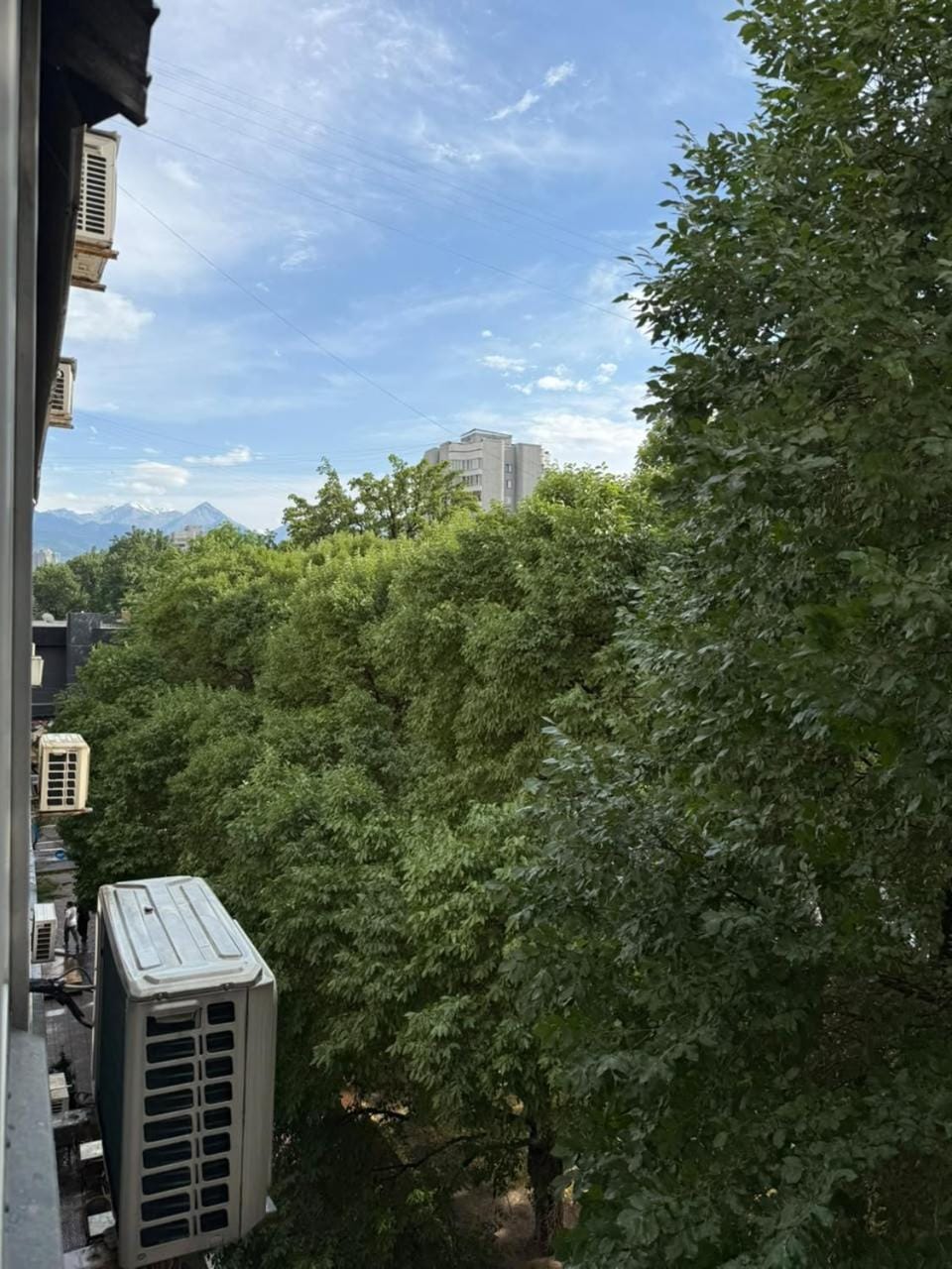 Green aparment Apartment in Almaty