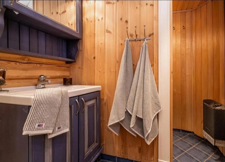 Exclusive log cabin spa with Jacuzzi & outdoor sauna ski in & out Cabin in Innlandet