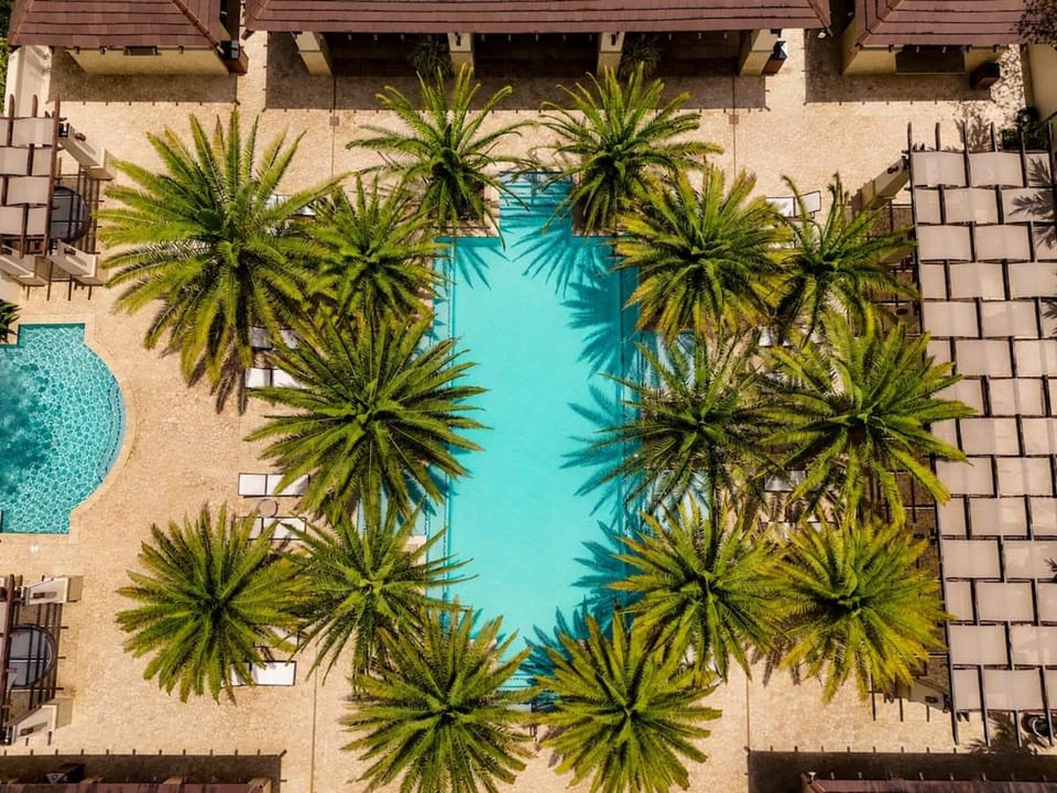 Day, Bird's eye view, Swimming pool