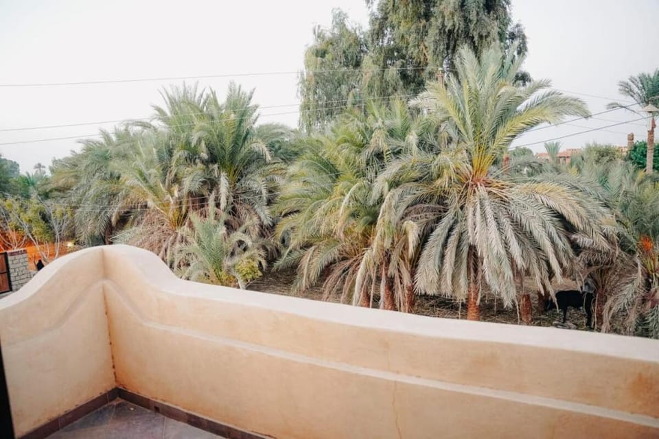 Bequest Hotel Hotel in Egypt