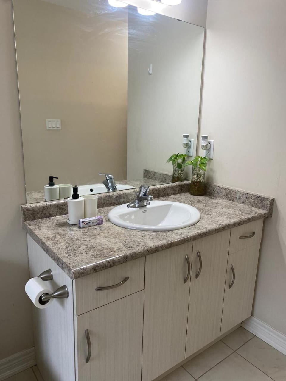 Luxurious Home in Thorold House in Saint Catharines