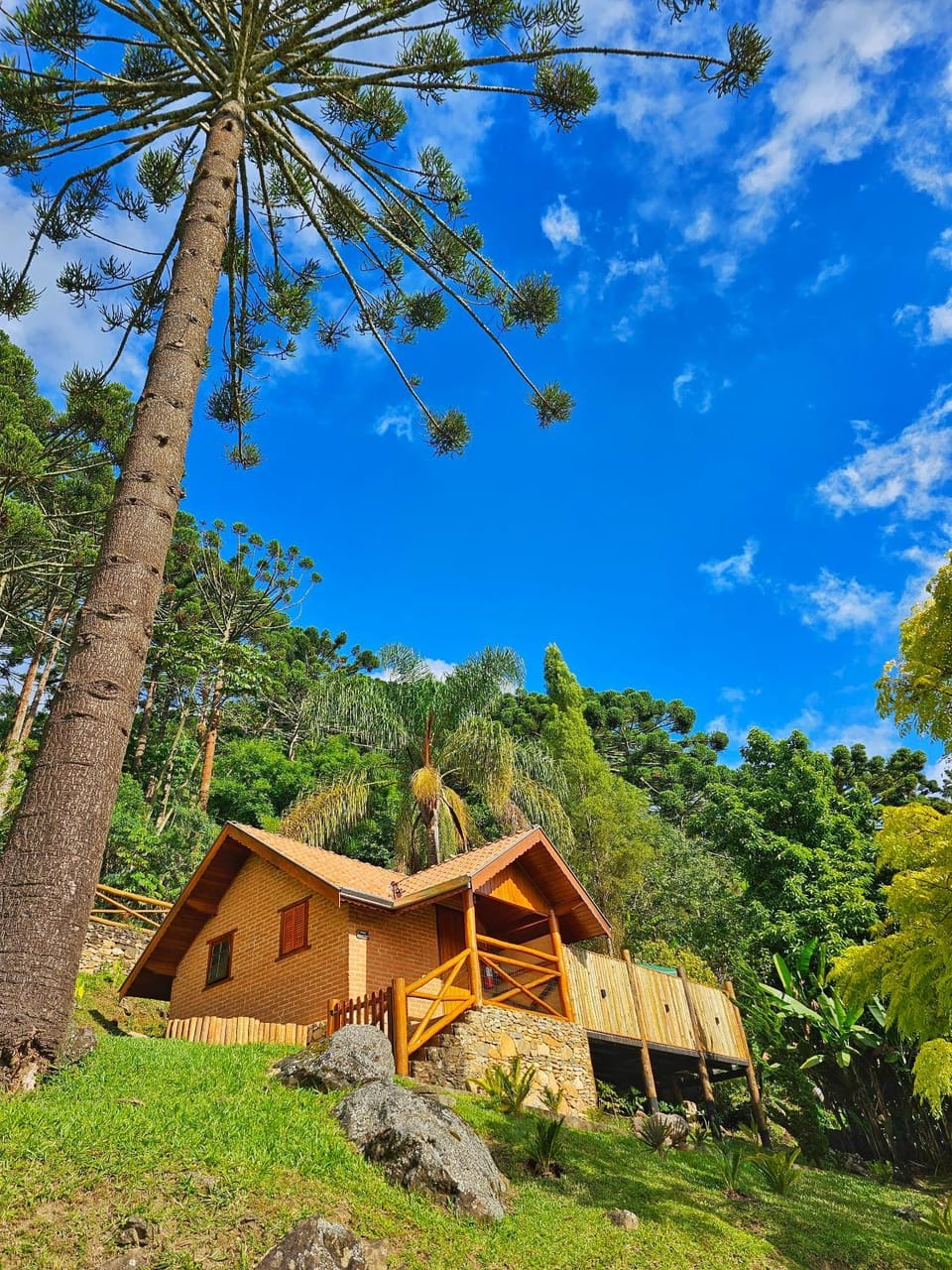 Chalés Araucária e Manacá Nature lodge in State of São Paulo