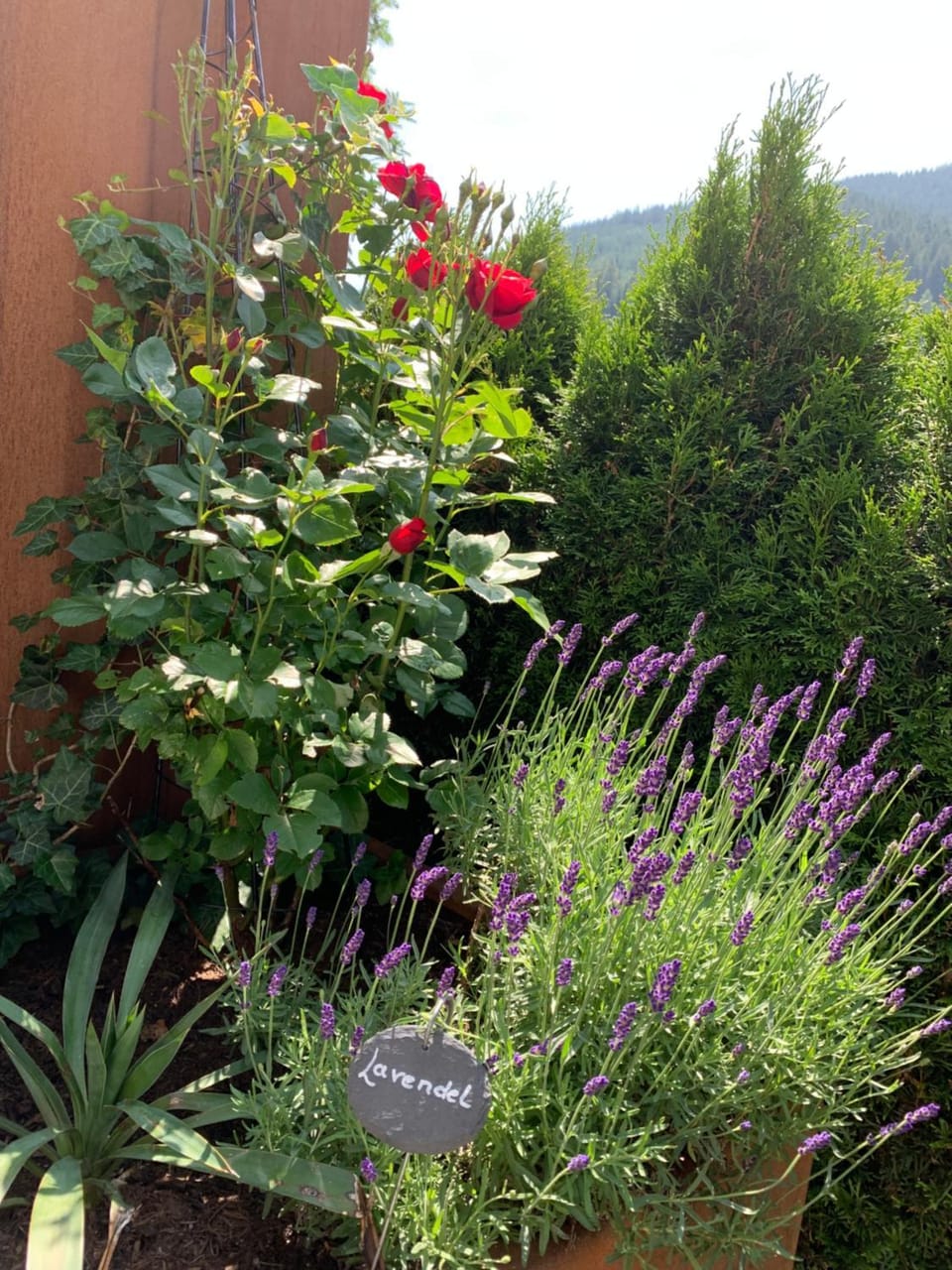 Natural landscape, Garden, Garden view