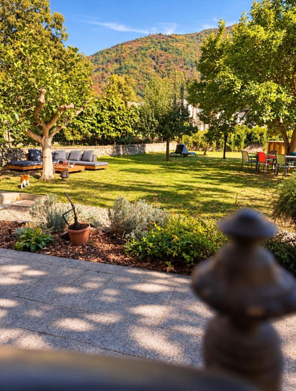 Natural landscape, Garden, Garden view