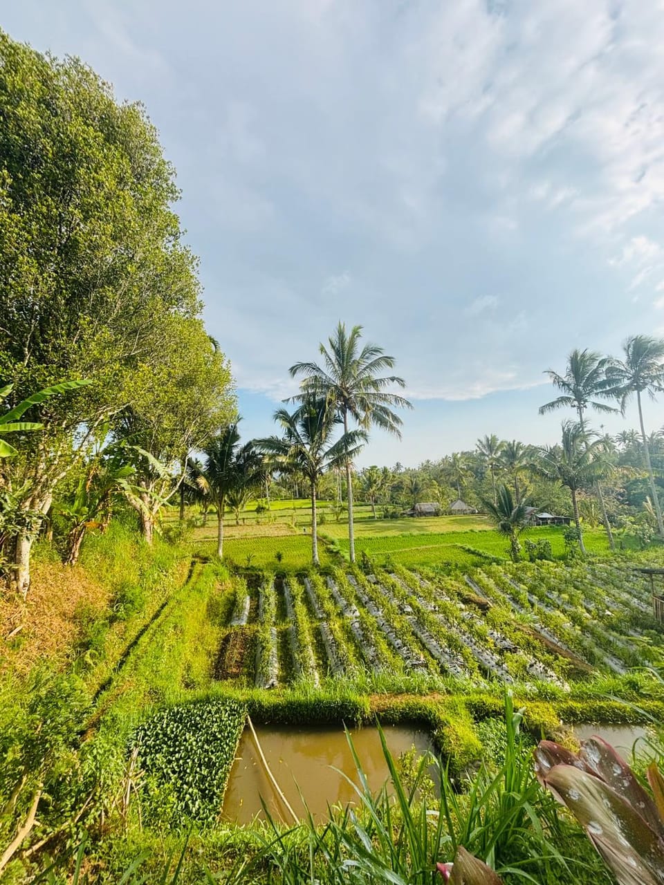 Raturinjani Bungalow House in West Nusa Tenggara, Indonesia