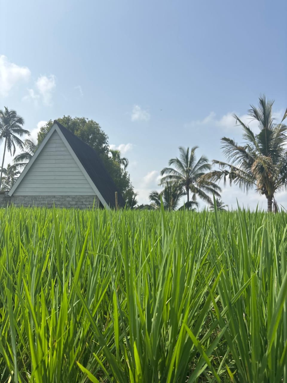 Raturinjani Bungalow House in West Nusa Tenggara, Indonesia