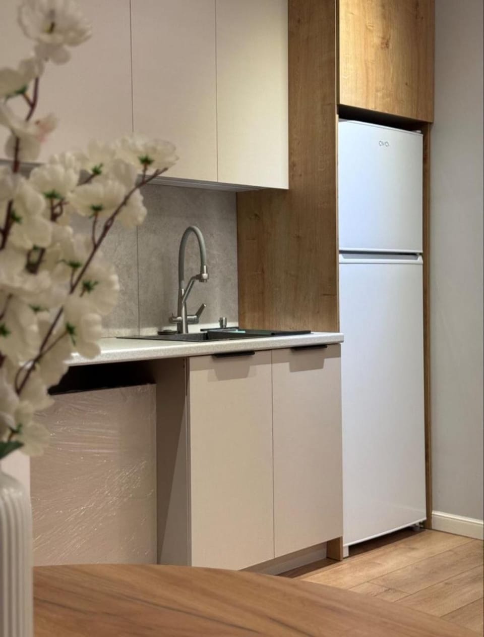 Kitchen or kitchenette, oven, stove