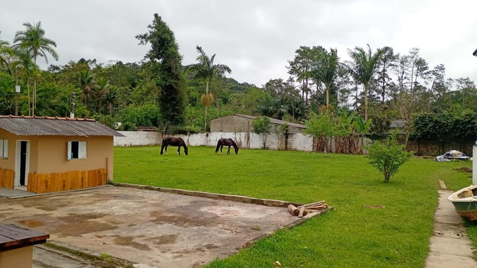 Garden, Horse-riding, Garden view