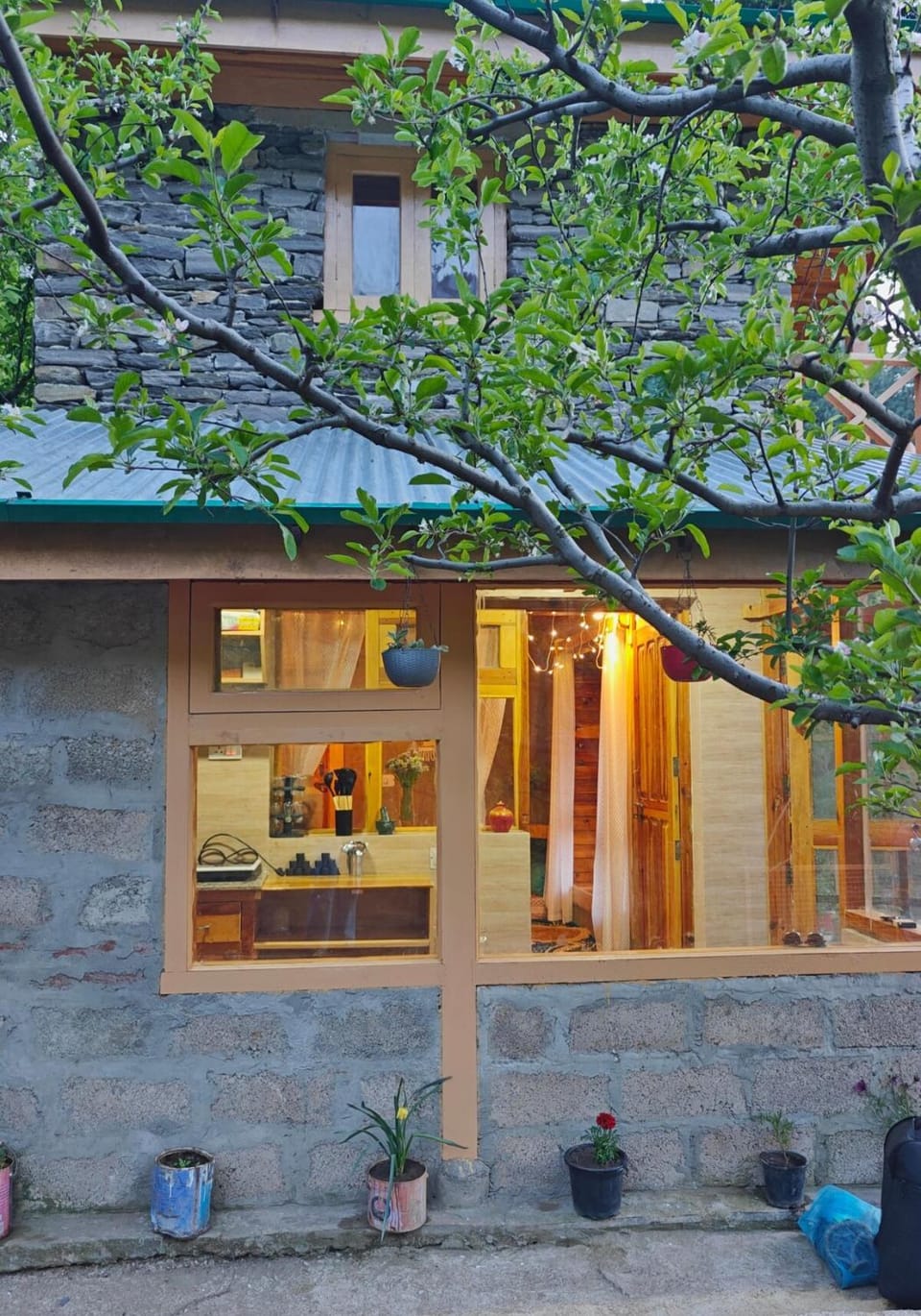 Jugni - The Little Heaven Chalet in Himachal Pradesh