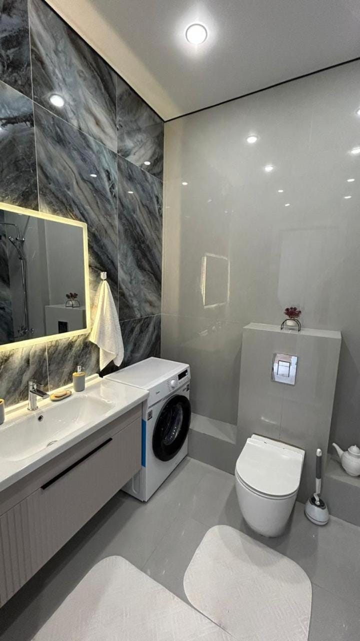 Toilet, Bathroom, towels, washing machine