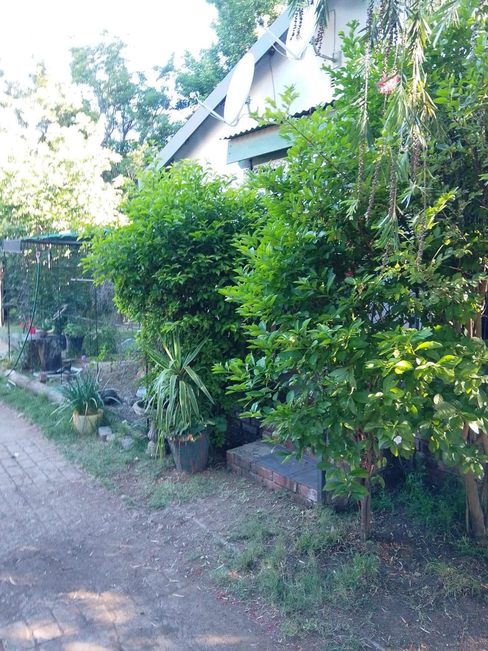 Gill's Birdhaven Guesthouse Apartment in North West, South Africa
