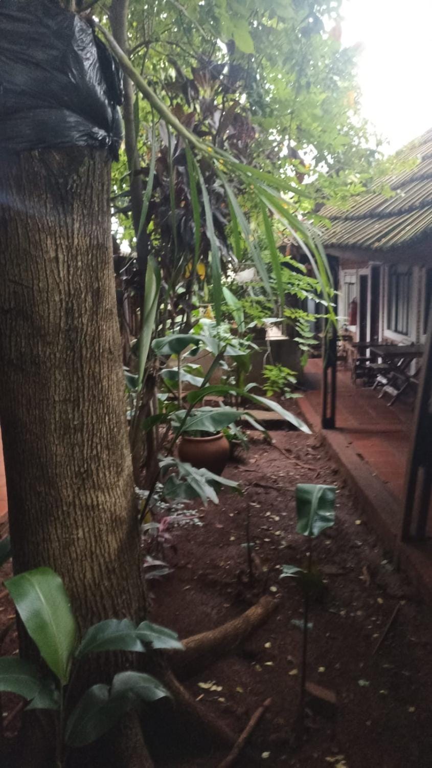Inner courtyard view