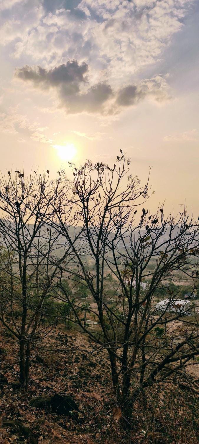 Aashray home stay kaziranga Vacation rental in India