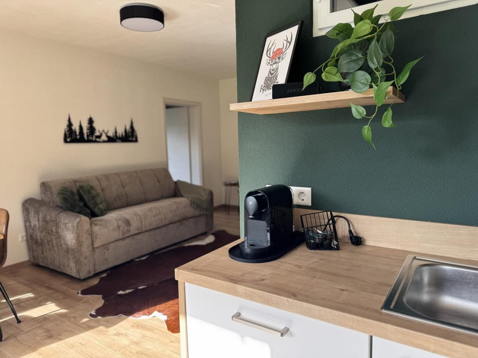 Living room, Seating area, internet, pet friendly, kitchen