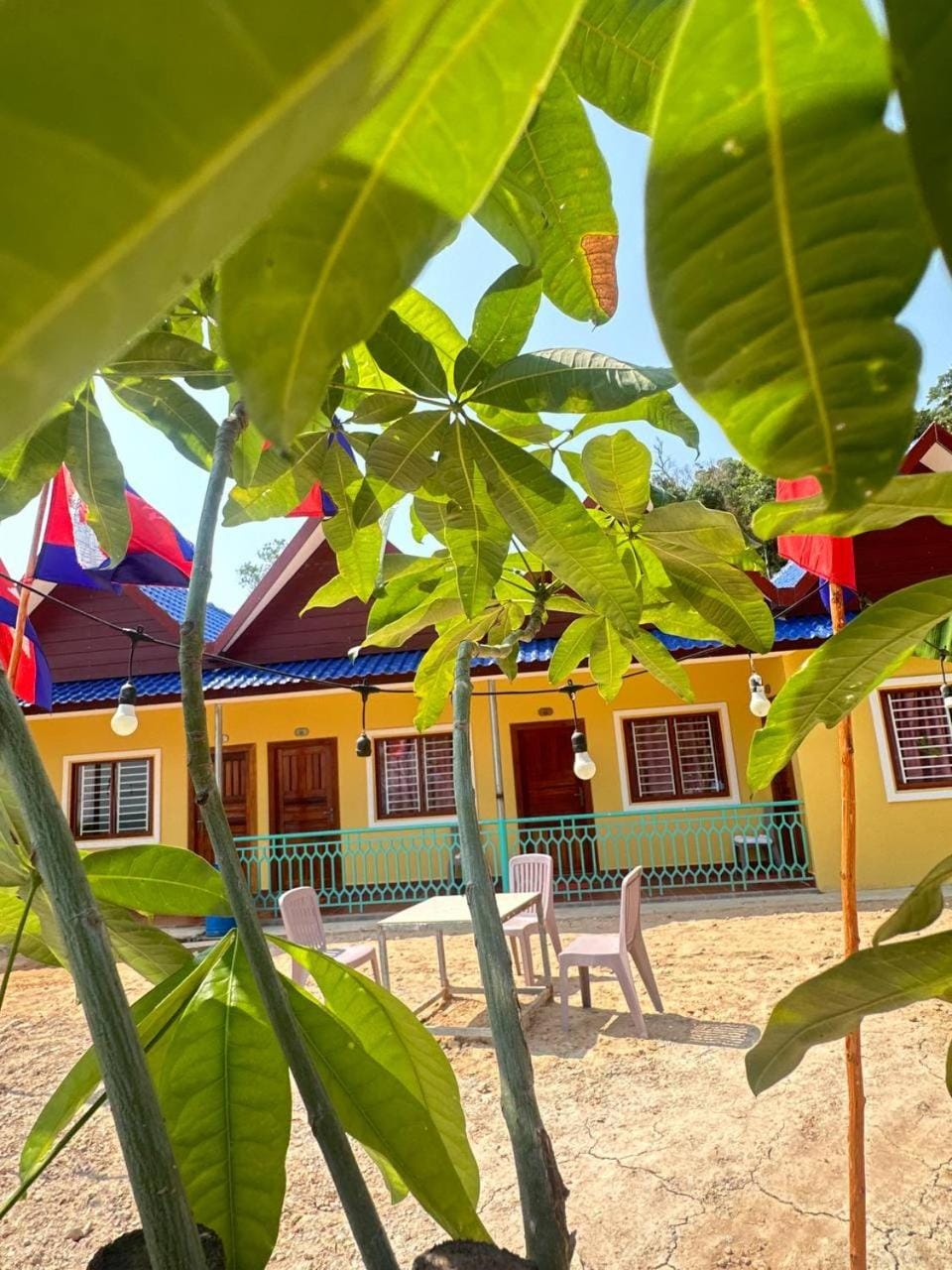 Property building, Garden view