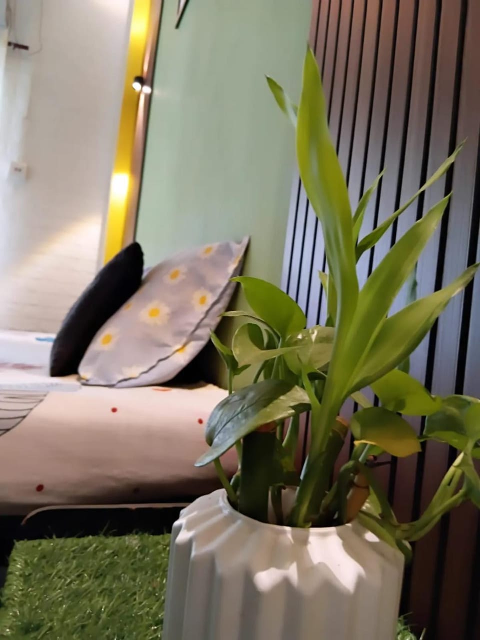Jv Arc HOMESTAY Apartment in India