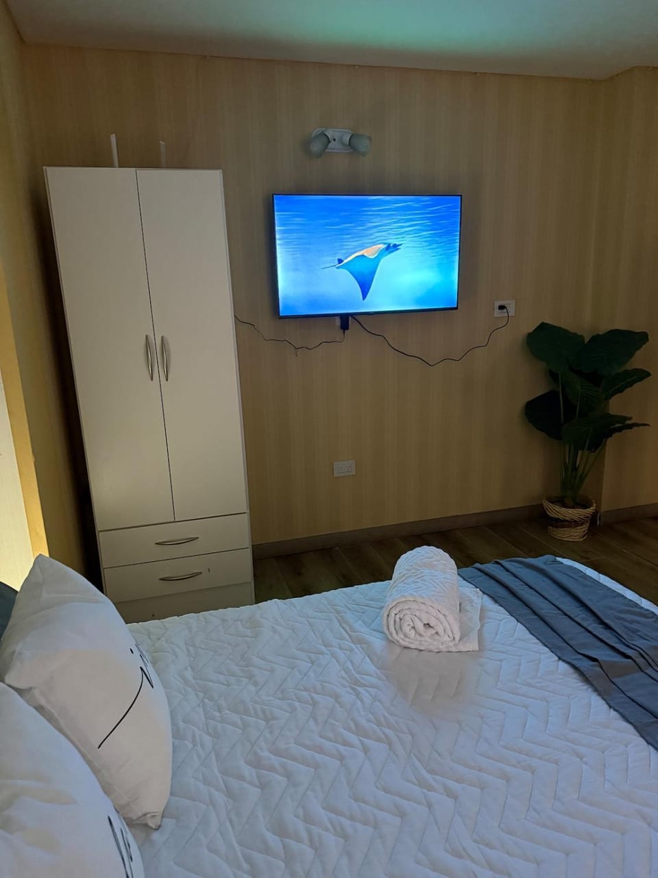 Bed, wardrobe