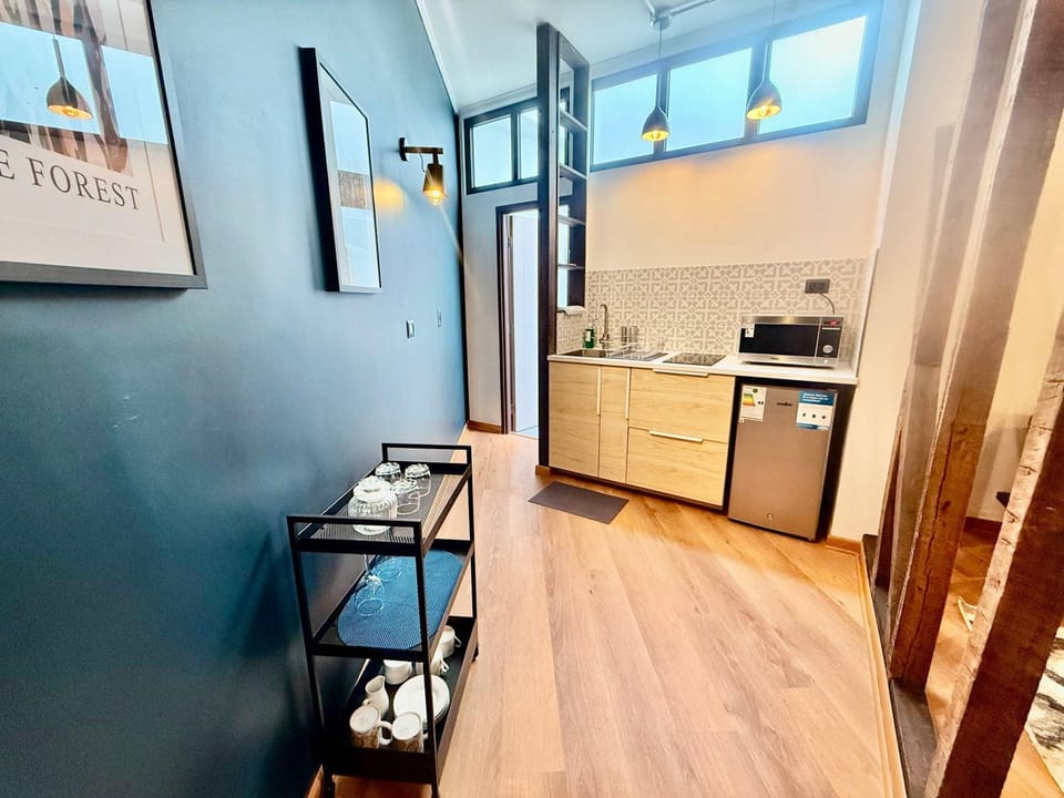 Remodeled Flat in Valparaiso Heritage District Apartment in Valparaiso