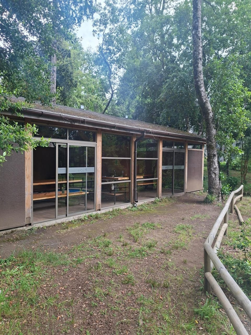 Bosque de Paz on the way to the volcano Apartment in Pucon