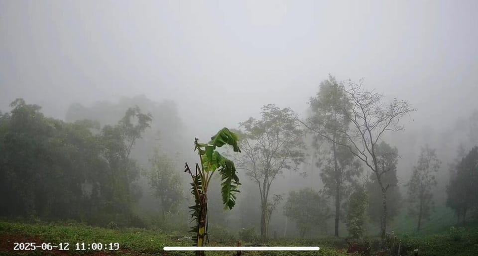 Misty Clouds -The Premium Villa - Wayanad Villa in Kerala