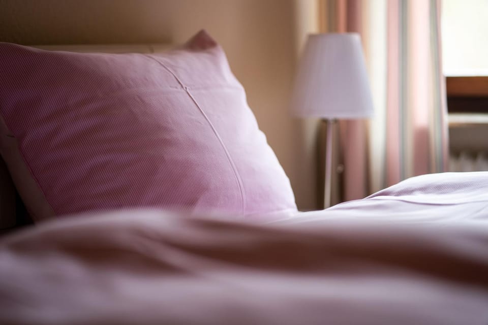 FeWo Paulsen Schobüll Apartment in Husum