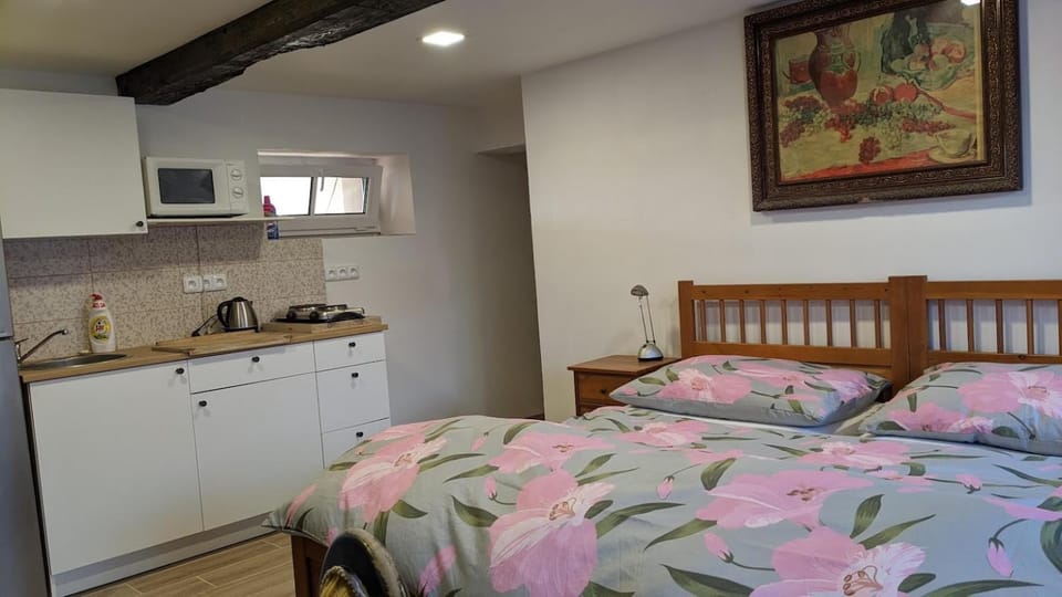 Chalupa u rybníka Střehom Bed and Breakfast in Czechia