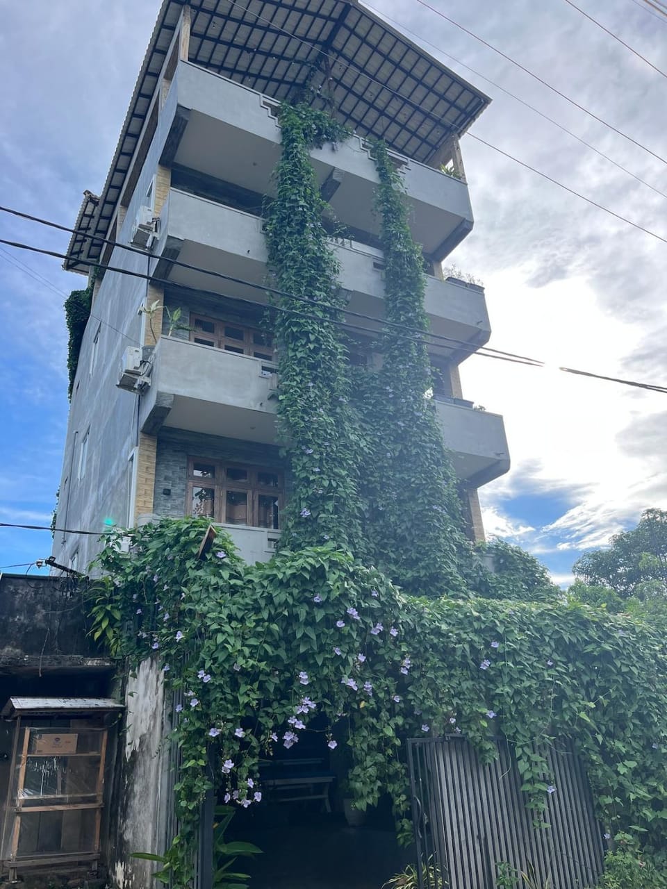 Down to Earth Hotel & Surf Retreat Apartment hotel in Southern Province