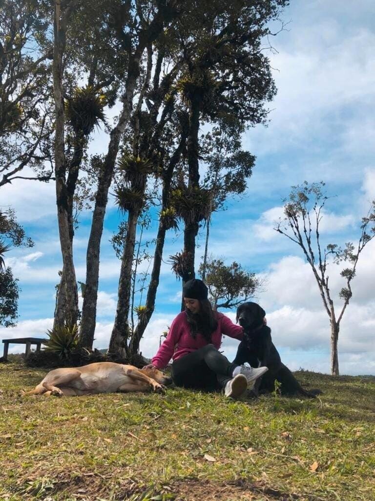 Pets