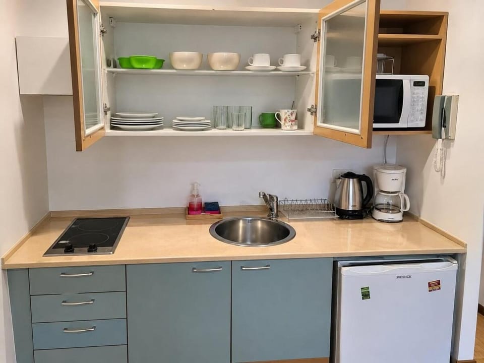 Coffee/tea facilities, Kitchen or kitchenette, minibar, oven, pet friendly, stove, toaster