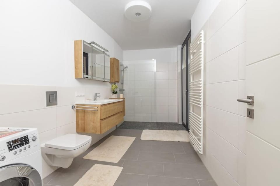 Design Appartement mit Hafenblick I 2 Terrassen Apartment in Saxony