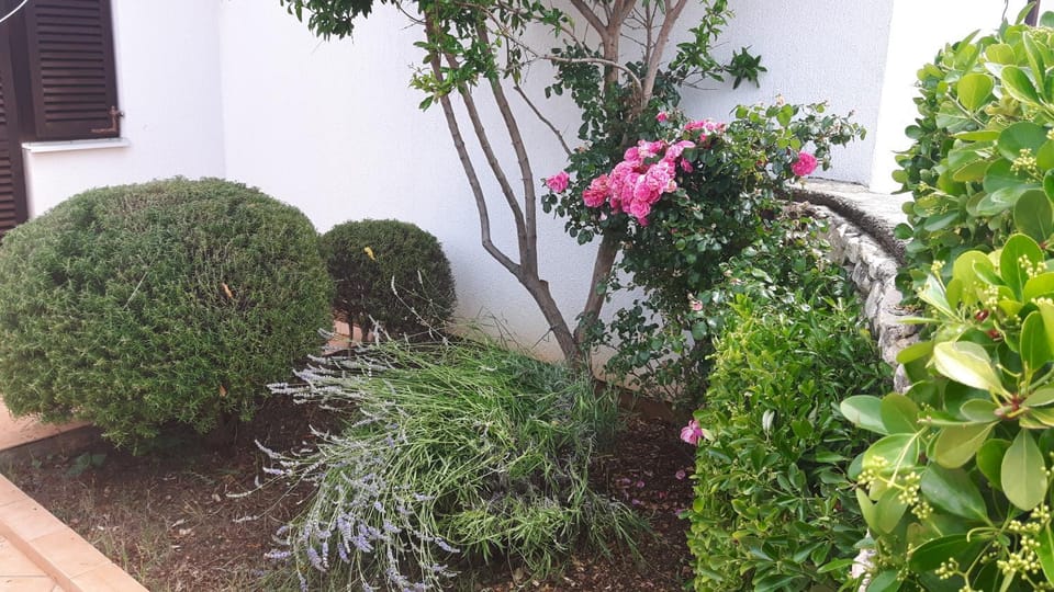 Garden, Decorative detail