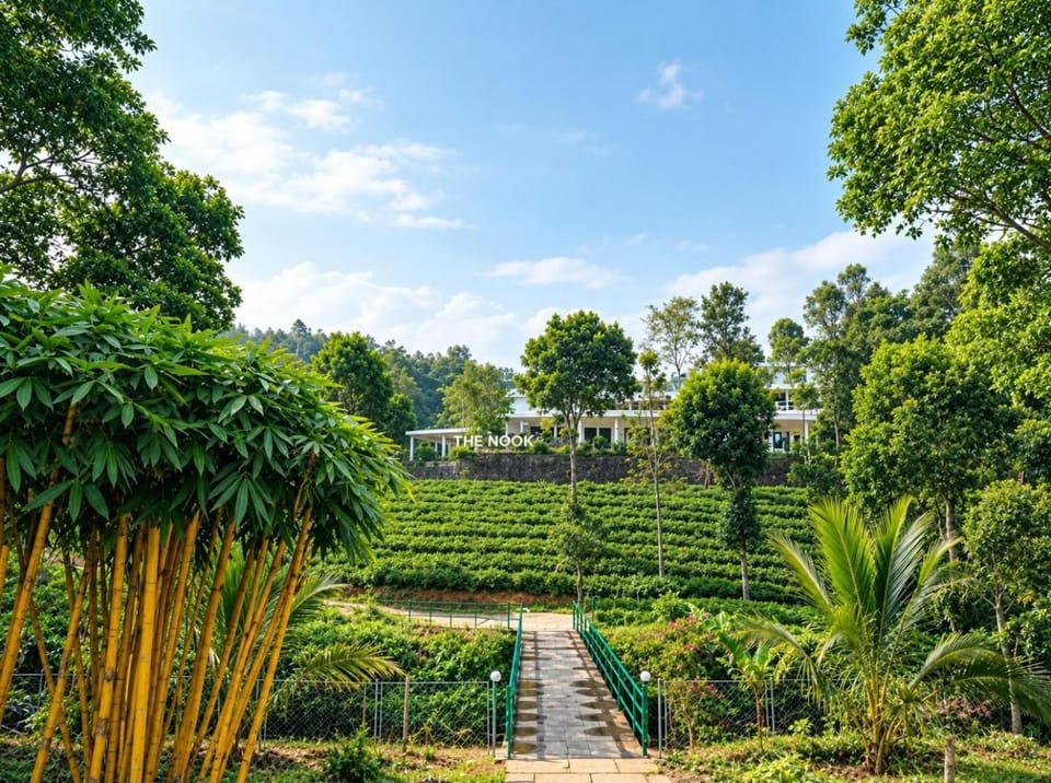 Natural landscape, Garden view