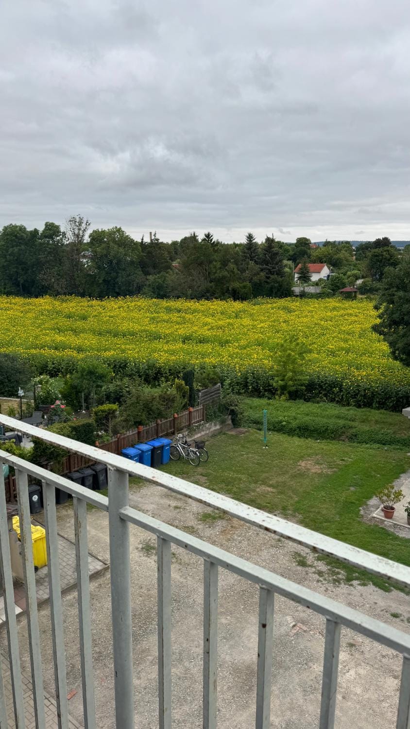 Monteur Quartier W Halberstadt Ankommen, auspacken, wohlfühlen Einzelbetten, WLAN, Parkplatz, Handtücher Bettwäsche inklusive Vacation rental in Saxony-Anhalt, Germany