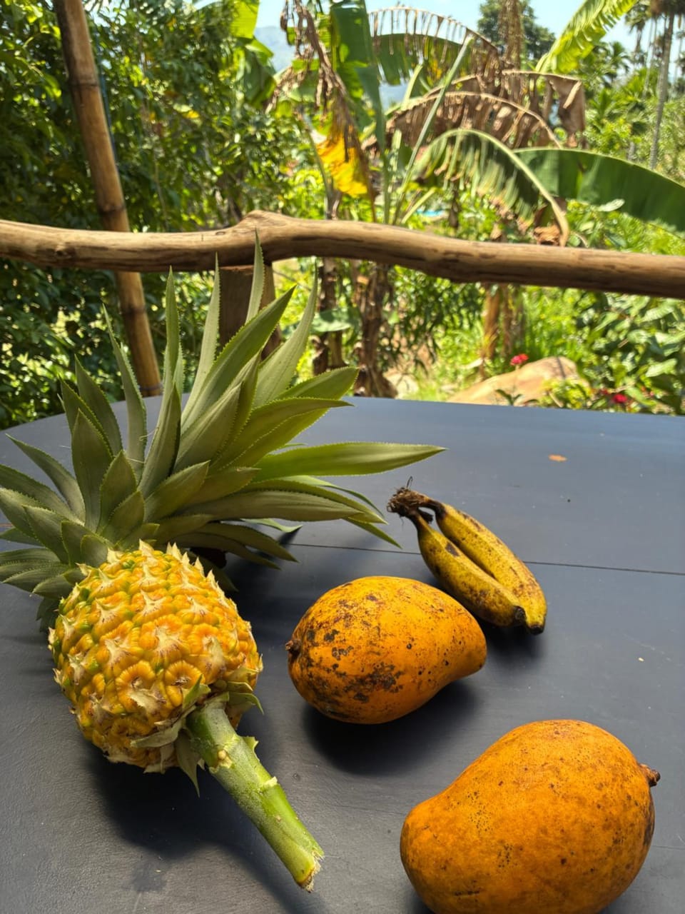 Visari Nature Lodge, Ella Nature lodge in Uva Province, Sri Lanka