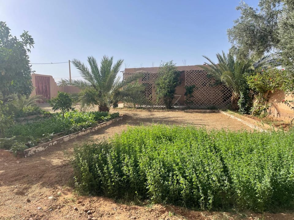 Gite Tinzouline Bed and Breakfast in Morocco