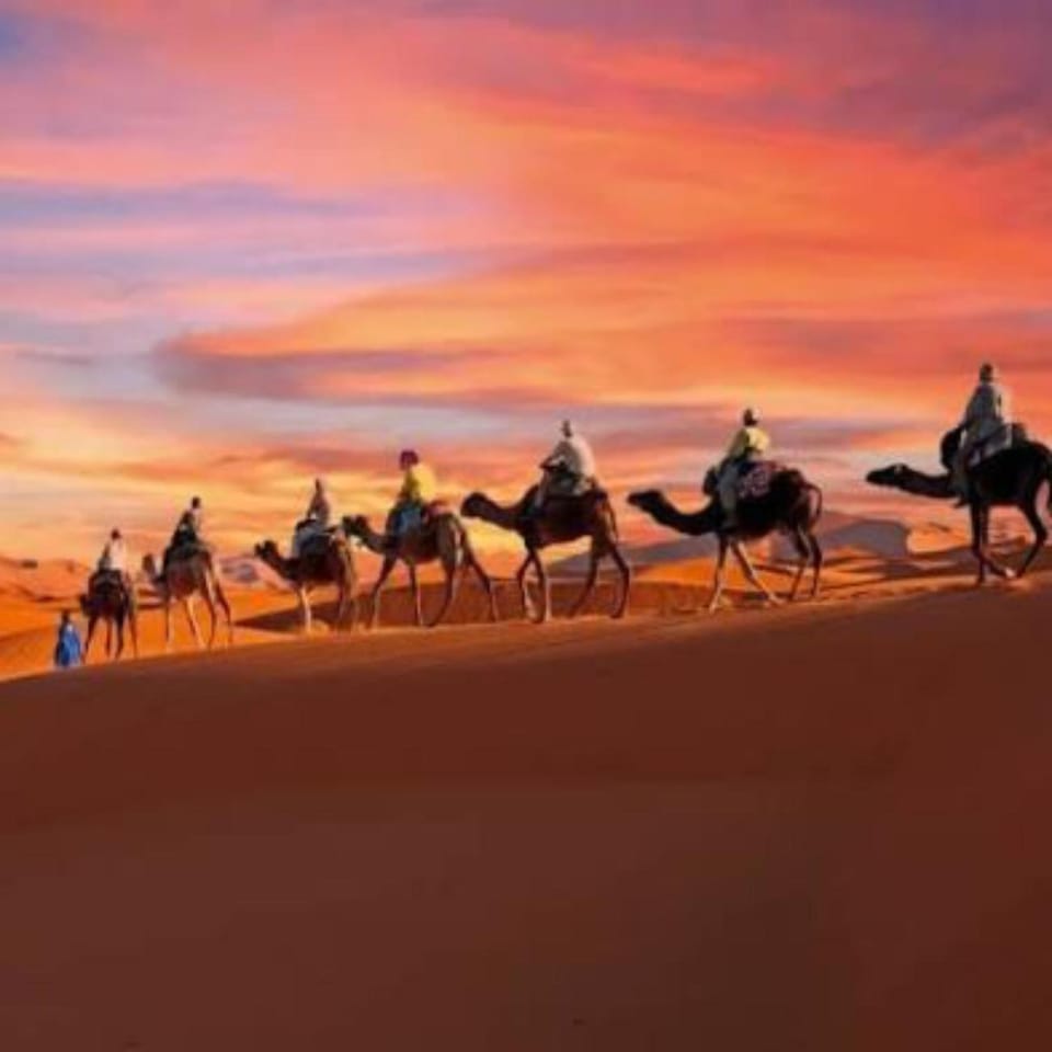 Natural landscape, Sunset, group of guests