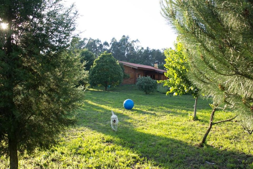 Off site, Garden, Pets