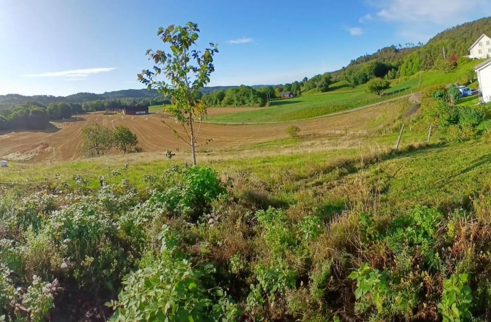 House close to Kjevik Airport with good parking possibilities House in Norway